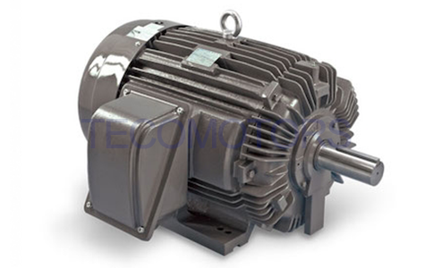 NEMA VFD Dust Explosion Proof Motor